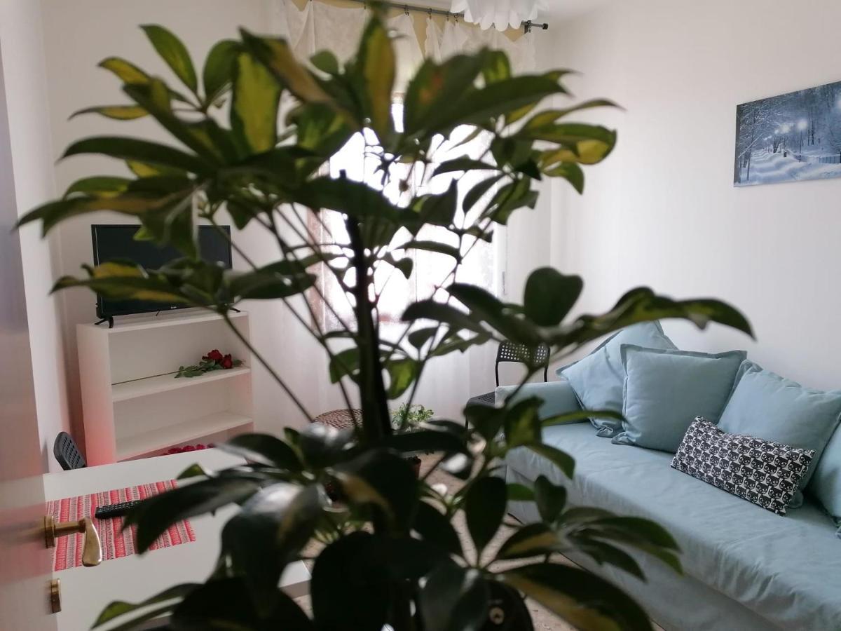 شقة Giuseppe House بيزا المظهر الخارجي الصورة